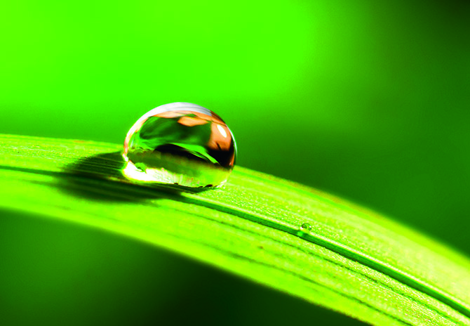 Many a Little Makes a Mickle: Create Sustainable Production